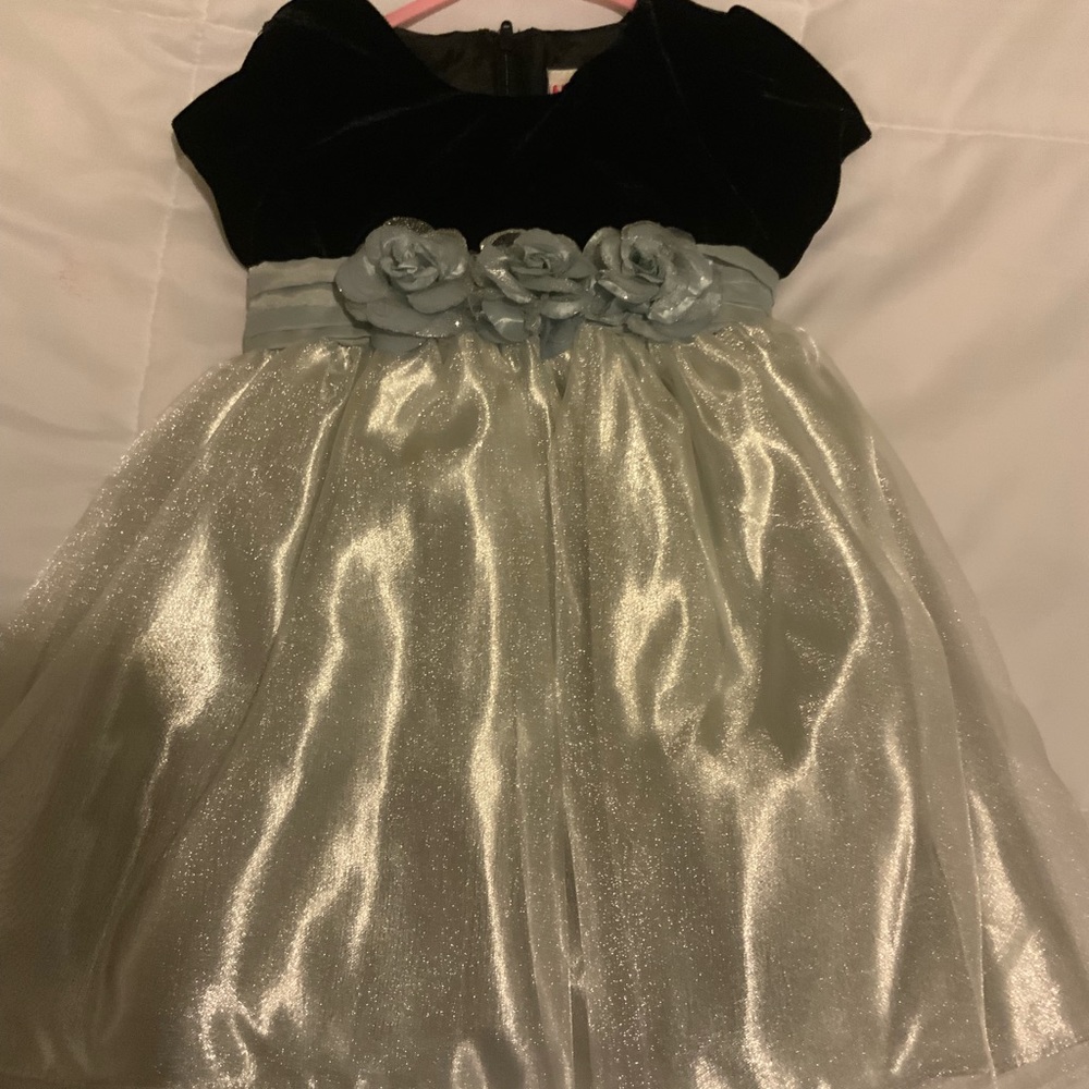 Girls dress / new never been worn